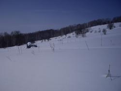 post-7090-0-17745400-1394167778_thumb.jp