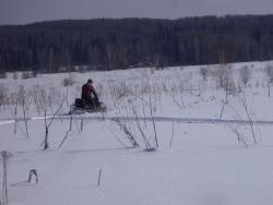 post-7090-0-88813200-1394177203_thumb.jp