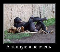 post-7121-0-15143000-1395759193_thumb.jp