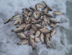 post-7121-0-15600400-1396196729_thumb.jp