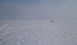 post-7121-0-22485600-1395752785_thumb.jp