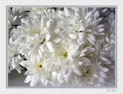 post-8034-0-69656100-1396022527_thumb.jp