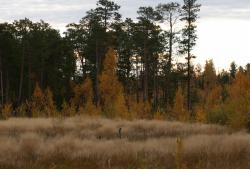 post-8942-0-06899400-1395923082_thumb.jp