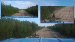 post-8942-0-19341900-1395808158_thumb.jp