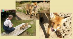 post-8942-0-38075000-1395747200_thumb.jp