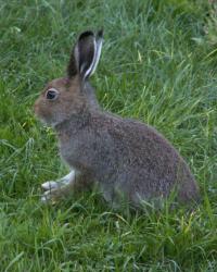 post-8942-0-68482200-1396067759_thumb.jp