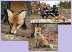 post-8942-0-76330800-1395747282_thumb.jp