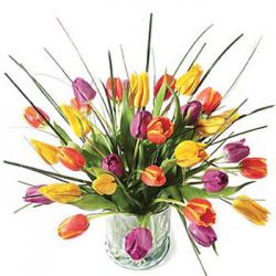 post-9320-0-02464900-1394171150_thumb.jp