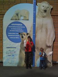 post-9320-0-76538800-1395230643_thumb.jp