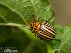 post-10063-0-22879600-1426116535_thumb.j