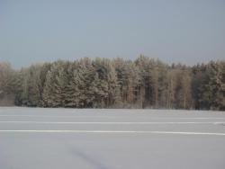 post-10462-0-21586500-1426603309_thumb.j