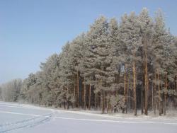 post-10462-0-46158400-1426603289_thumb.j