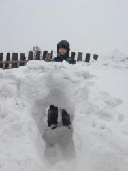 post-10462-0-61253400-1426575997_thumb.j