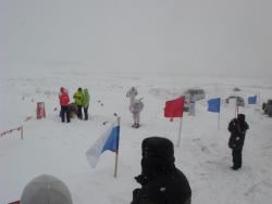 post-10462-0-87729200-1425225909_thumb.j