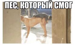 post-10547-0-31308200-1426084801_thumb.j