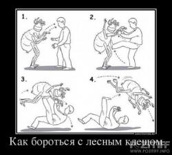 post-10547-0-53862600-1426332707_thumb.j