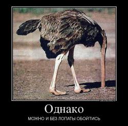 post-10547-0-65149200-1425523904_thumb.j