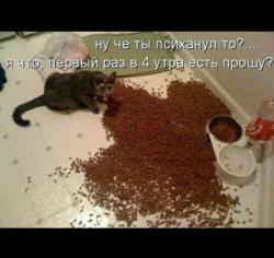 post-10547-0-88611300-1425574295_thumb.j