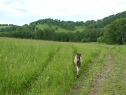 post-11805-0-11107500-1427805346_thumb.j