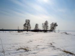 post-11805-0-18218000-1427809428_thumb.j