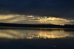 post-11805-0-21798400-1426261332_thumb.j