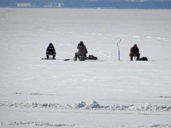 post-11805-0-22054600-1427814286_thumb.j