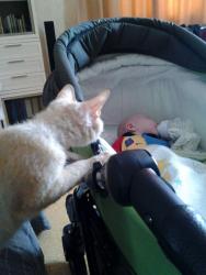 post-11805-0-24431100-1425464814_thumb.j