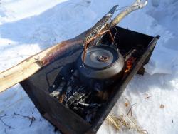 post-11805-0-25424600-1427814361_thumb.j