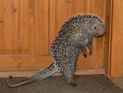 post-11805-0-38154100-1425651415_thumb.j