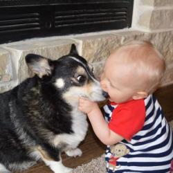 post-11805-0-57247900-1425658987_thumb.j