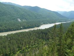 post-11805-0-68183100-1427805442_thumb.j