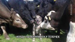 post-11805-0-69918800-1426298328_thumb.j