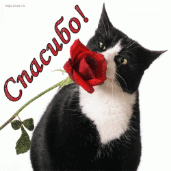 post-11805-0-70313600-1425724995_thumb.g