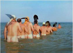 post-11805-0-73859200-1425821280_thumb.j