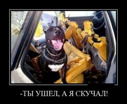 post-11805-0-77982000-1425396334_thumb.j