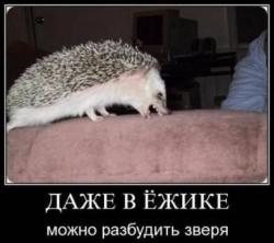 post-11805-0-89918000-1425535382_thumb.j