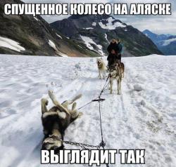 post-11805-0-94329500-1425564111_thumb.j