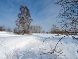 post-11805-0-96913700-1427809540_thumb.j