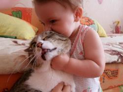 post-11805-0-97402600-1425658946_thumb.j