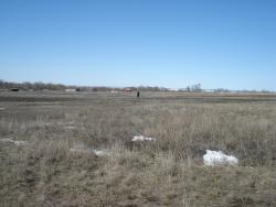 post-12373-0-03364900-1427696827_thumb.j