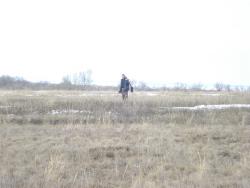 post-12373-0-19130400-1426959104_thumb.j