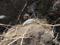 post-12373-0-28594100-1426959287_thumb.j