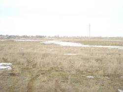 post-12373-0-69607800-1426958681_thumb.j