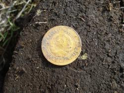 post-12373-0-78021500-1426959203_thumb.j