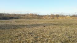 post-12688-0-62887900-1426608187_thumb.j