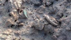 post-13076-0-84043300-1426792737_thumb.j