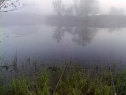 post-14670-0-27327600-1426258880_thumb.j