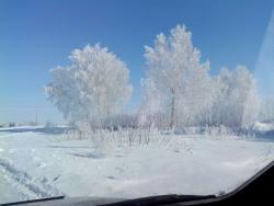 post-14670-0-37491300-1426259773_thumb.j