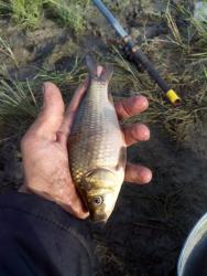 post-14670-0-99070100-1426258884_thumb.j