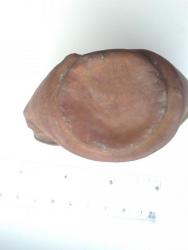 post-25484-0-32268500-1426251739_thumb.j